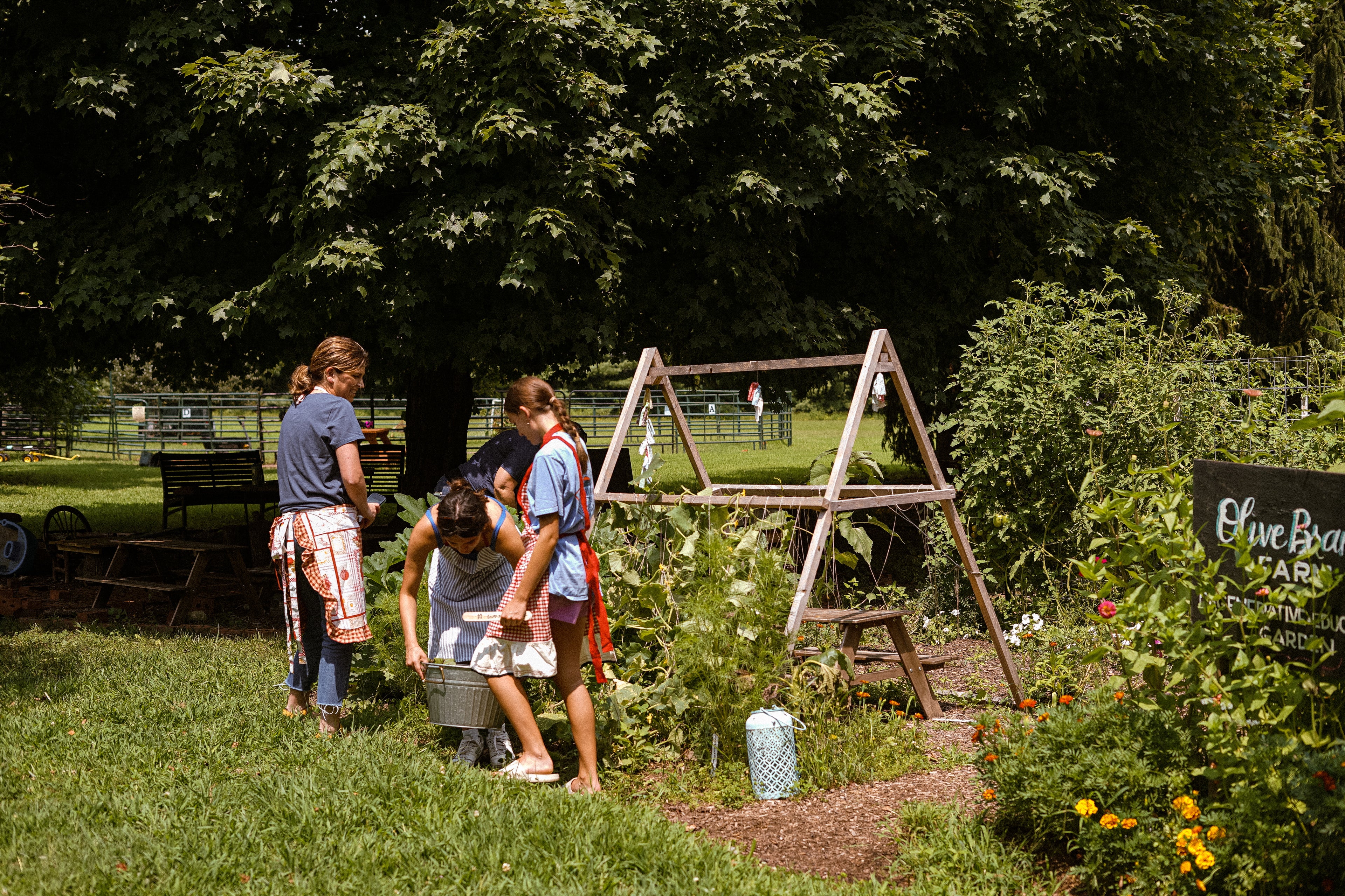 Moon Kissed Deserts - 14 Nights - Quiet Rest for Dry Throats, Scratchy Airways & Restless Sleep