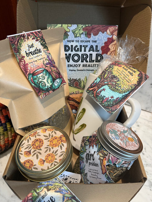 Four Seasonal Surprise Boxes - Botanical Wisdom Collection from Olive Branch Farm